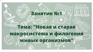 Открытое заседание кафедры химии и биологии 6 ноября 2020