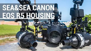 Sea & Sea Canon R5 Underwater Housing Review // A Sit Down with Andy Sallmon