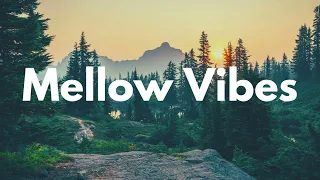 Mellow Vibes Lofi Mix | Chill and Study Music