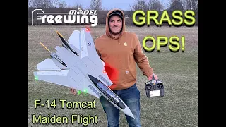 Freewing Twin 64mm F-14 Tomcat Maiden Flight & Grass Ops!