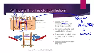 Mucosal Immunity