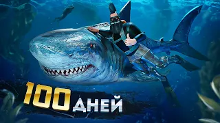 Мы ВЫЖИВАЛИ 100 ДНЕЙ что бы ВСЕХ ВЗОРВАТЬ в ARK Survival Ascended! ВЫЖИВАНИЕ в НОВОМ АРК Ascended!