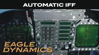 DCS: F/A-18C Hornet | Automatic IFF