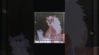 Топ 5 моих любимых map'ов | Коты-воители | #edit #warriorcats #кв