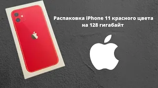 Распаковка iPhone 11 красного цвета на 128 гигабайт!