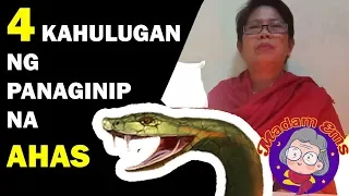 KAHULUGAN NG PANAGINIP NA AHAS SA PANAGINIP - IBIG SABIHIN (MEANING)