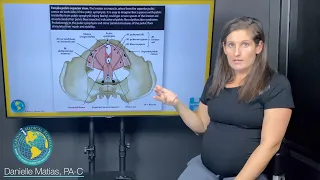 What types of Pelvic floor dysfunction and pudendal neuralgia cases is Prolotherapy used for?