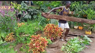 Backyard Gardening, Creating A New Garden Space.