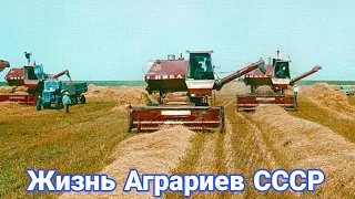 Жизнь аграриев в СССР. Чем занимались колхозы летом.