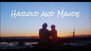 Harold and Maude | Tribute | Cat Stevens | Don't Be Shy | Aesthetic Cinema