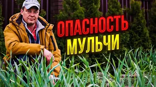 органическое или минеральное земледелие что выбрать и сколько нужно мульчи