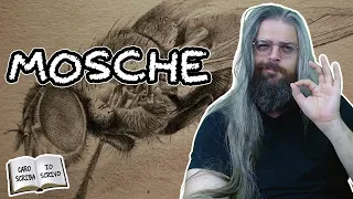 Mosche - Caro Scriba, Io Scrivo | S2E1