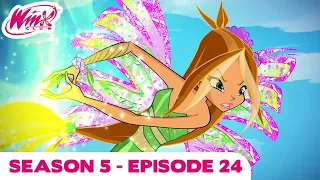 Winx Club Season 5 Episode 24 "Saving Paradise Bay" Nickelodeon [HQ]