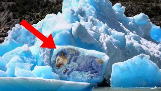 Top 11 Mysterious Things Found trapped in Ice | #top11s