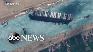 Colossal ship freed from Suez Canal