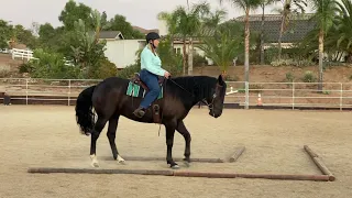 Ranch Maneuvers W/T September 2020 Debbie Kiepfer and Batman's entry into the ACMC Virtual Show