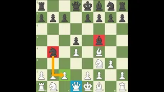 Your Opponent's Move   Pelajaran Catur   Chess com