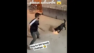 #Becareful Bacho aur dogs ko Bomb se dur rakhe Jarur🙏🙏#Happy Diwali 💥💥