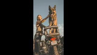 Suit Up and Ride, Moxie! How to carry dog on bike 🐕 🏍 #shorts #biker #gsd