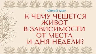 К чему чешется живот в зависимости от места и дня недели? Подробное толкование приметы