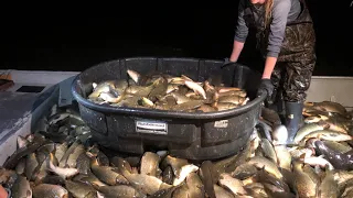 Thousands of Invasive Carp Pulled from Robbinsdale’s Crystal Lake