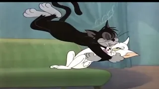 Tom and Jerry English Episodes Casanova Cat Cartoons For Kids