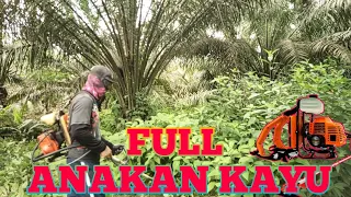 potong rumput full anakan kayu dengan mesin rumput brush cutter