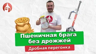 Пшеничная брага без дрожжей | Перегоняем пшеничную брагу