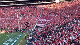 Auburn vs Georgia Swag Surf