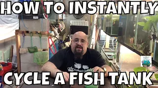 HOW TO INSTANT CYCLE A FISH TANK! WITHOUT WAITING!