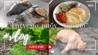 Готуємо рибу "Дорадо" 🐟 та гарнір  🍽  .