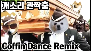 Coffin dance meme  Gabe the dog cover