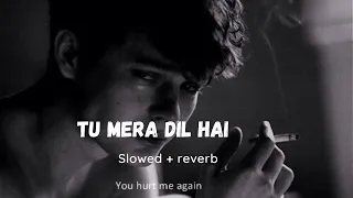 Tu Mera Dil - [Slowed+Reverb] - Falak | ByteBeat