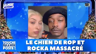 TPMP Rewind: La bourde de TF1 qui a arrêté le match des bleus avant la fin, un chien massacré...