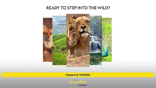 Ready To Step Into the Wild? | National Geographic | #nofilterbyIndiGo