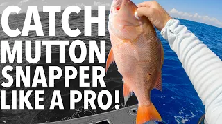 HOW TO CATCH MUTTON SNAPPER LIKE A PRO!