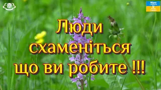 Люди схаменіться що ви робите !!!🌺🌺🌺