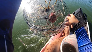 COMO PEGAR MILHOES DE CAMARÃO VIVO FÁCIL, RAPIDO E BARATO, MELHOR ISCA | Pescando camarão na lagoa