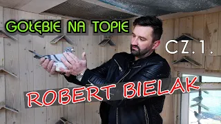 GOŁEBIE NA TOPIE - ROBERT BIELAK  CZ .1.