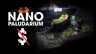 Making a Nano Paludarium for Vampire Crabs | SUPER CHEAP PALUDARIUM BUILD.