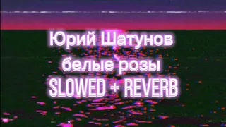 Юрий Шатунов - Белые Розы (Slowed + Reverb)