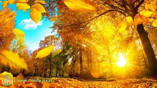 Relaxing Wake Up Music: GOOD MORNING MUSIC 528hz