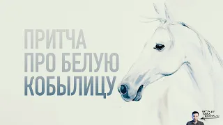 Притча про старика и белую лошадь
