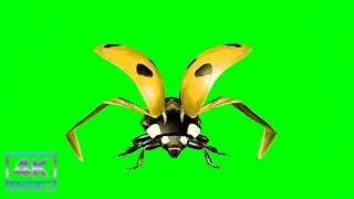Ladybug Green Screen | Ladybug 🐞 | Ladybug No Copyright Green Screen Video | Green Screen Effect