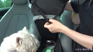 Julibee's Console Dog Car Seat Installation Guide: How to install a armrest dog car seat.