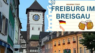 Freiburg im Breisgau - Germany 🇩🇪 Walking Tour 4K 🚶