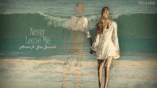 [Vietsub + Lyrics] Never Leave Me - Avicii ft. Joe Janiak