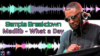 Sample Breakdown: Madlib - What A Day (Tyler the Creator)