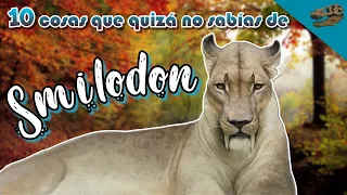 10 Cosas que quizá no sabías de: SMILODON