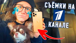 Я и моя собака на Первом Канале! Юми укусила собака! Украли Айфон! Как все устроено на телевидении?